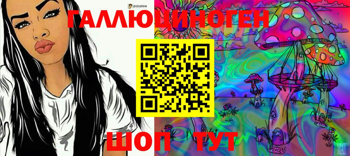 Псилоцибиновые грибы прущие грибы  хочу   Кириши  Вход с VPN 